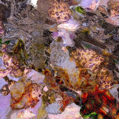 Nothing Personal Antiphon Of Dirty Water - SIGNERT (LP) 