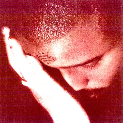 Nourished By Time The Passionate Ones (CD) 