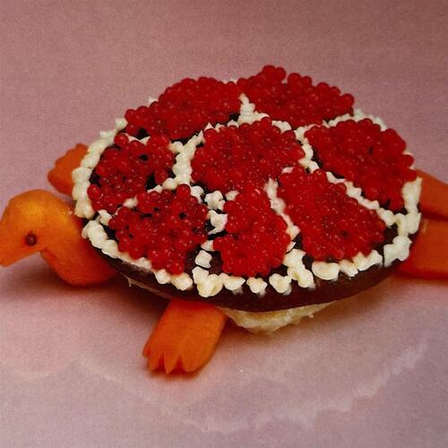 Sharp Pins Turtle Rock (LP) 