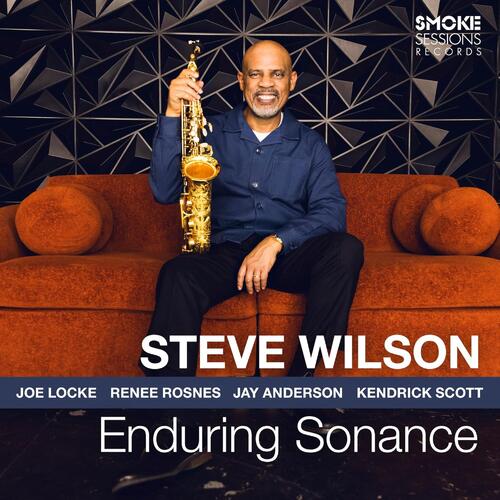 Steve Wilson Enduring Sonance (LP) 