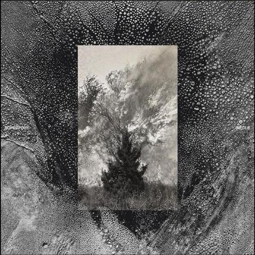 Superpoze Siècle (CD) 