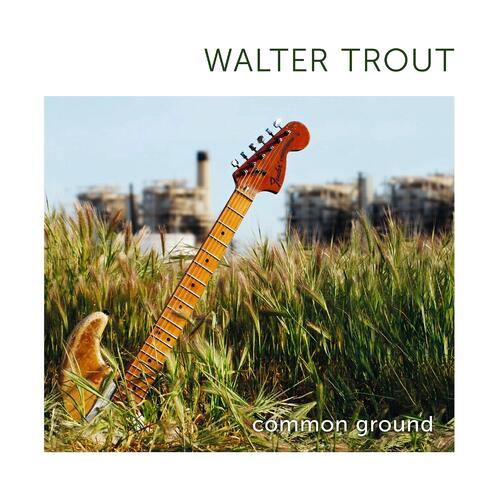 Walter Trout Common Ground - LTD (2LP) 