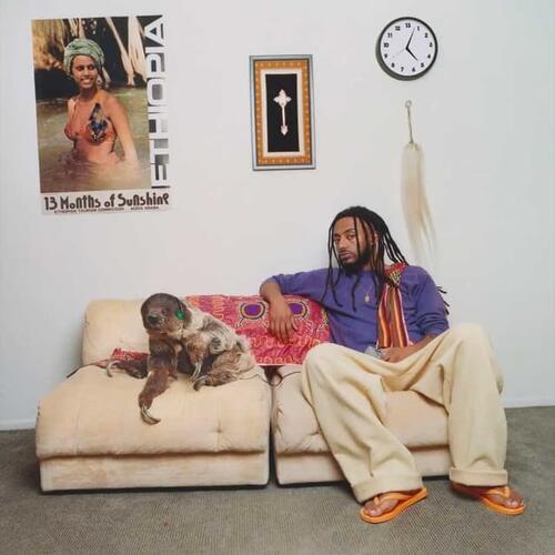 Aminé 13 Months Of Sunshine - LTD (2LP) 