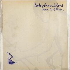 Babyshambles Down In Albion: 20th… - LTD (2LP)