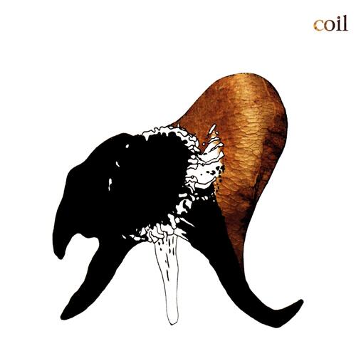 Coil Black Antlers (CD) 