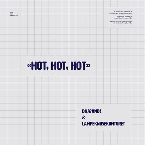 DNA? AND? & Lampeknusekontoret Hot, Hot, Hot (LP) 