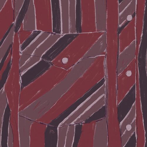 Jake Xerxes Fussell & James Elkington Rebuilding (LP) 