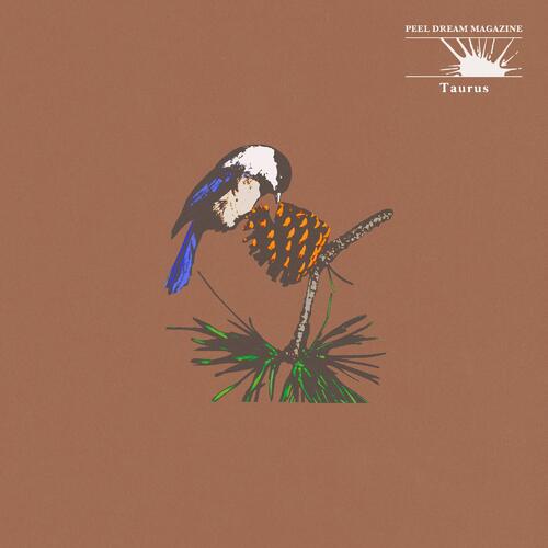 Peel Dream Magazine Taurus (MC) 