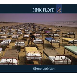 Pink Floyd A Momentary Lapse Of Reason (CD)