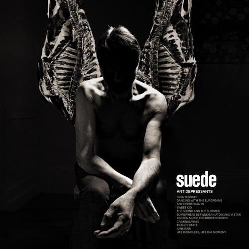 Suede Antidepressants (CD) 