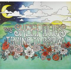 The Sheepdogs Trying To Grow (LP)