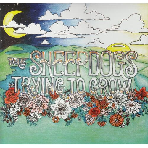 The Sheepdogs Trying To Grow (LP) 