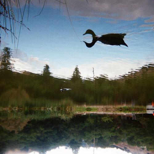 Tomu DJ Antagonist (LP) 