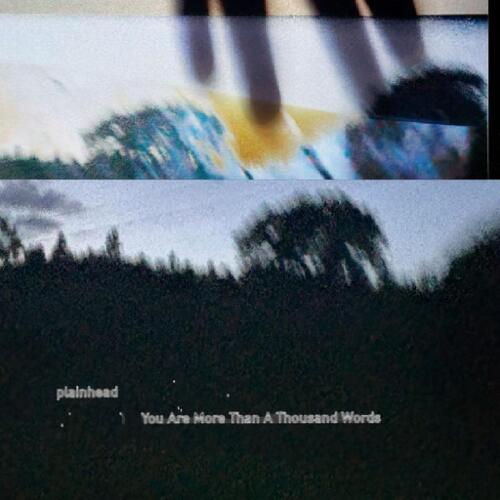 plainhead You Are More Than A Thousand Words (LP) 