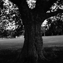 Archy Marshall A New Place 2 Drown (Instrumentals) (LP)