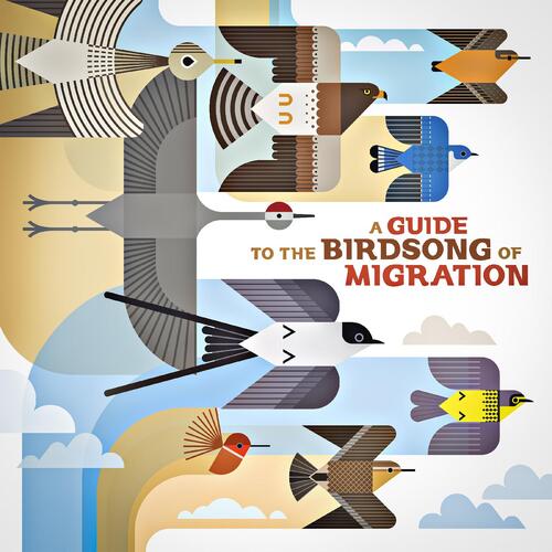 Diverse Artister A Guide To The Birdsong Of… (LP) 