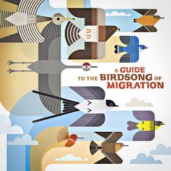 Diverse Artister A Guide To The Birdsong Of… (LP)