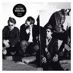 Electric Woodland Potrero (LP)