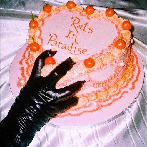 Emily Breeze Rats In Paradise (LP) 