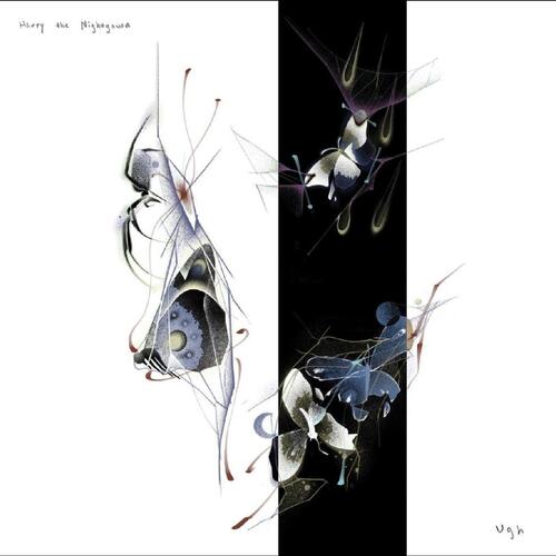 Harry The Nightgown Ugh (LP) 