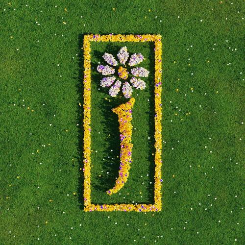 James Nothing But Love: The Definitive… (5LP) 