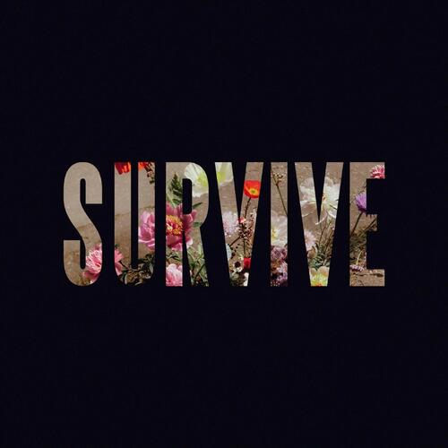 Lewis Capaldi Survive EP (CD) 