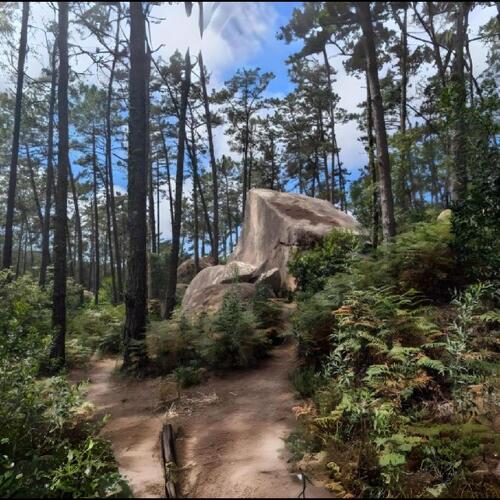 Parajekt Parajekt (LP) 