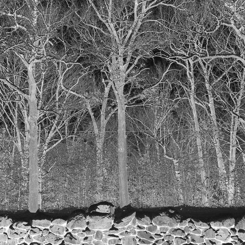 Pile Sunshine And Balance Beams - LTD (LP) 