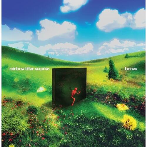 Rainbow Kitten Surprise Bones (CD) 