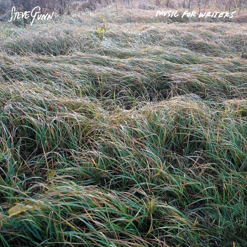 Steve Gunn Music For Writers (LP) 