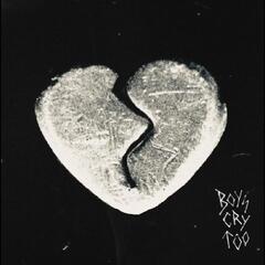 The Haunted Youth Boys Cry Too (LP)