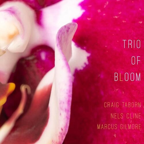 Trio Of Bloom Trio Of Bloom (CD) 