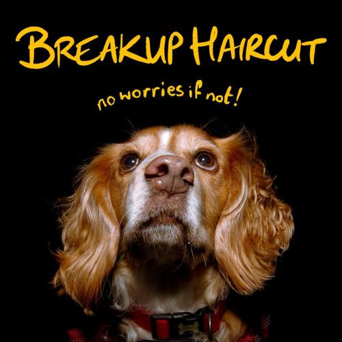 Breakup Haircut No Worries If Not (CD) 