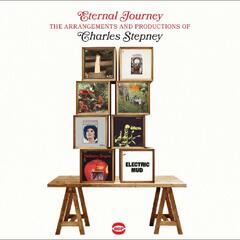 Diverse Artister Eternal Journey - The Arrangements… (CD)