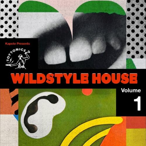 Diverse Artister Kapote Presents Wildstyle House… (2LP) 