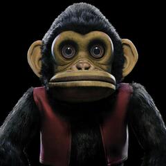 Edo Van Breemen The Monkey (LP)