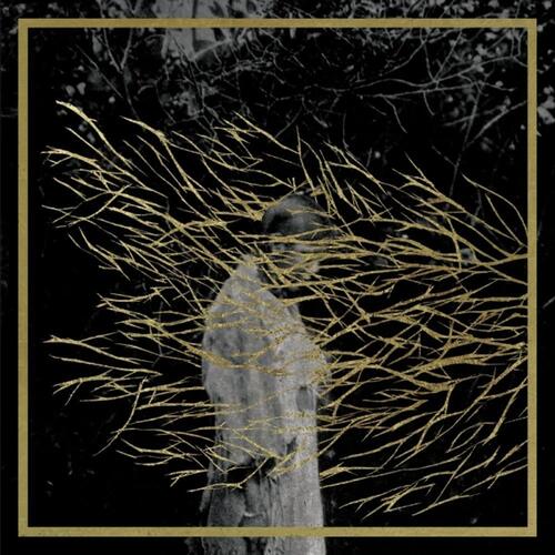 Forest Swords Engravings - 2025 Edition (CD) 