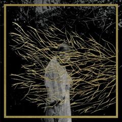 Forest Swords Engravings - 2025 Edition (CD)