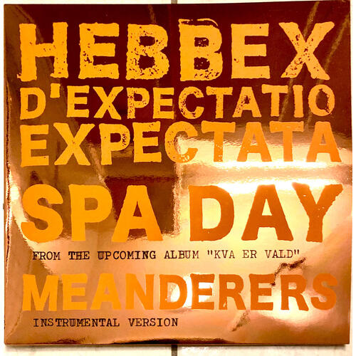 Hebbex d'Expectatio Expectata Spa Day / Meanderers (10") 