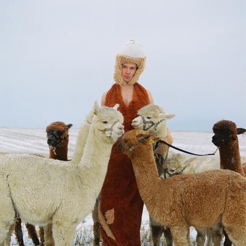 Lasse Lokøy & The Roommates & The Roommates (LP) 