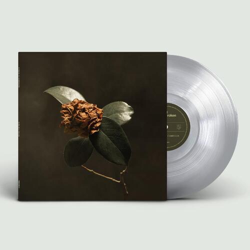 St. Paul & The Broken Bones Young Sick Camellia - LTD (LP) 