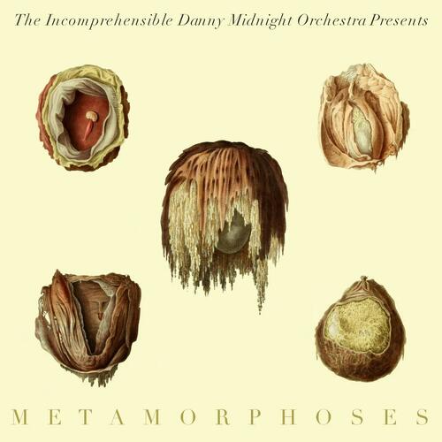 The Incomprehensible Danny Midnight… Metamorphoses (LP) 