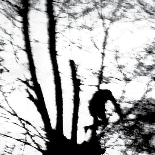 Cindytalk Camouflage Heart - LTD (LP) 