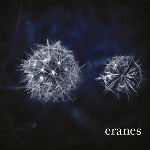 Cranes Cranes - LTD (LP) 