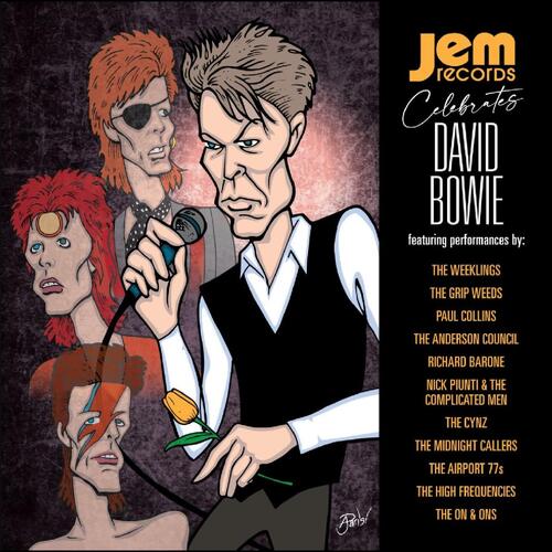 Diverse Artister Jem Records Celebrates David Bowie (LP) 