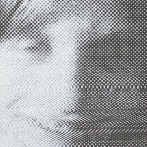 Diverse Artister Jem Records Celebrates David Bowie (LP) 