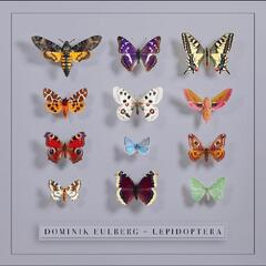 Dominik Eulberg Lepidoptera (2LP)