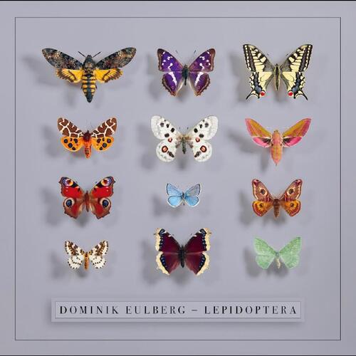 Dominik Eulberg Lepidoptera (2LP) 