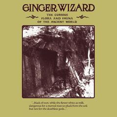 Ginger Wizard The Curious Flora And Fauna Of The… (LP)