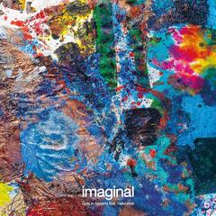 Girls In Airports Imaginal (LP)